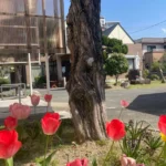 防府カトリック教会