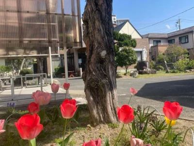 防府カトリック教会