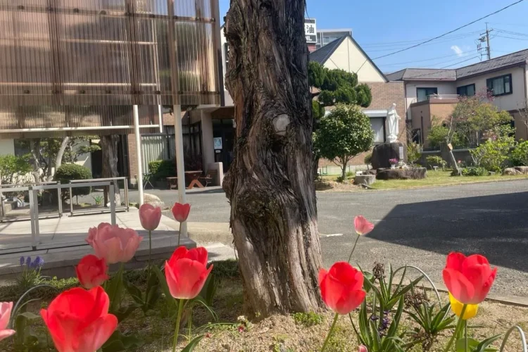 防府カトリック教会