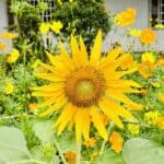 防府カトリック教会